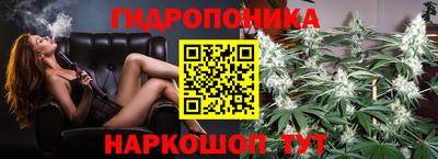 не бодяженный Камышлов