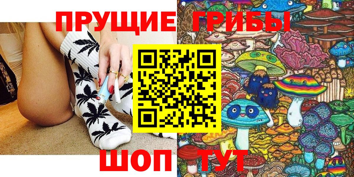 Псилоцибиновые грибы Psilocybe Курчалой